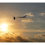 Auri+1%2E5m+DLG (AURI)