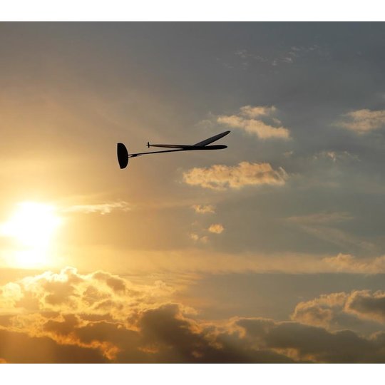 Auri 1.5m DLG (AURI)