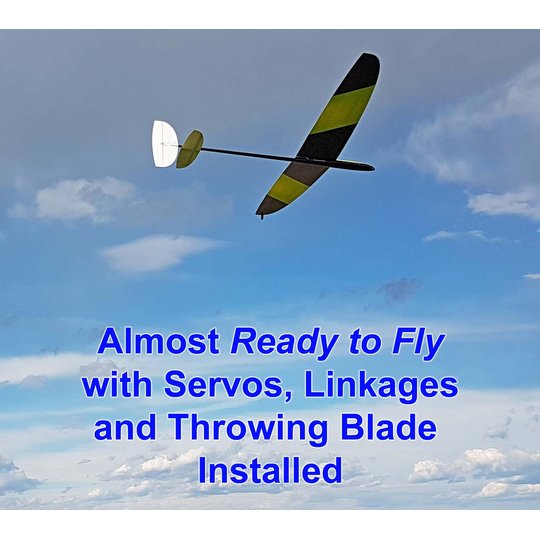 Hawk RFT 1m DLG with Servos Installed (HAWK-RTF)