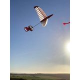 Pug 2 Mini DLG & Slope Soarer 80 cm